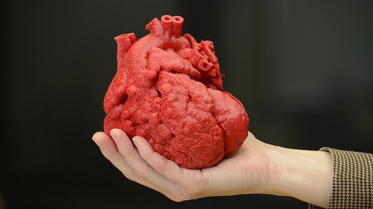 3d_printed_heart